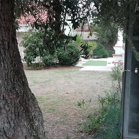 Goncalo Caldas Da Rainha